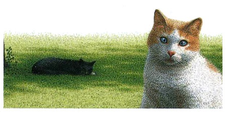 Неро Корлеоне. Кошачья история Неро Корлеоне. Кошачья история
