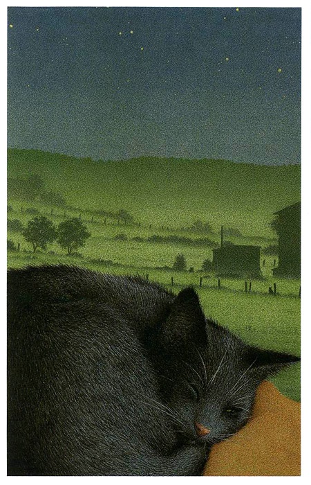 Неро Корлеоне. Кошачья история Неро Корлеоне. Кошачья история