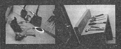 Убийства в кукольном доме Убийства в кукольном доме