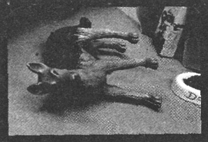 Убийства в кукольном доме Убийства в кукольном доме