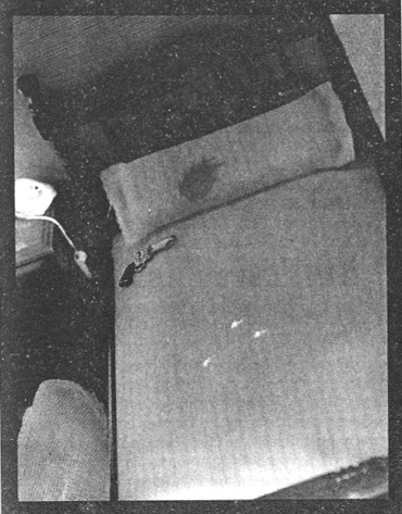 Убийства в кукольном доме Убийства в кукольном доме