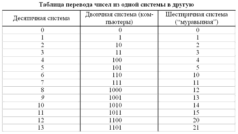 Серые муравьи Серые муравьи