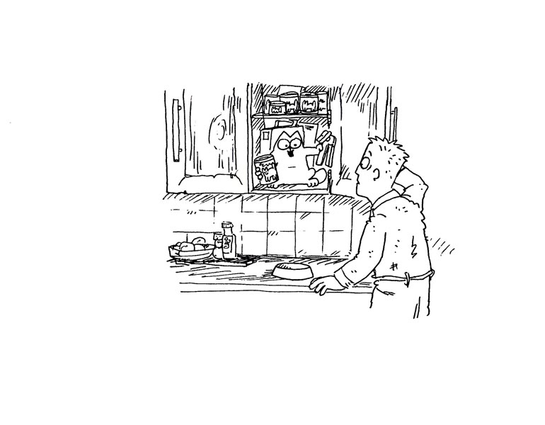 Кот Саймона Кот Саймона