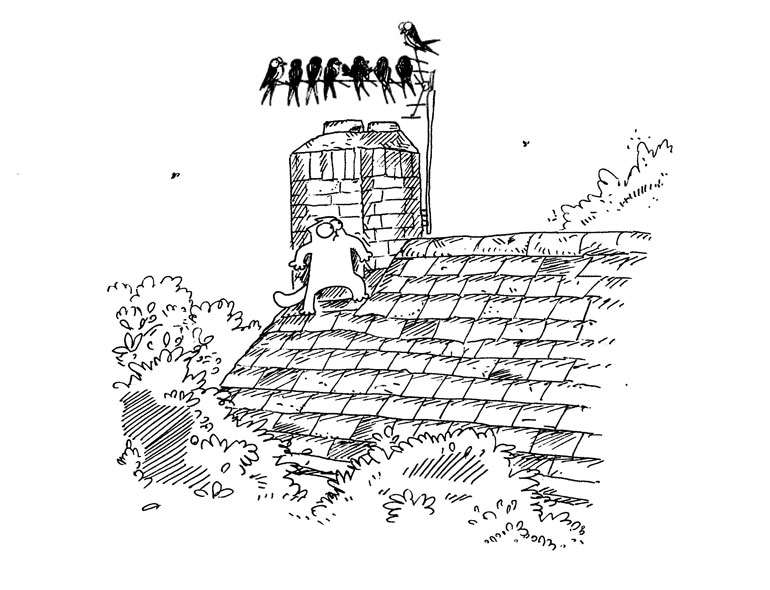 Кот Саймона Кот Саймона