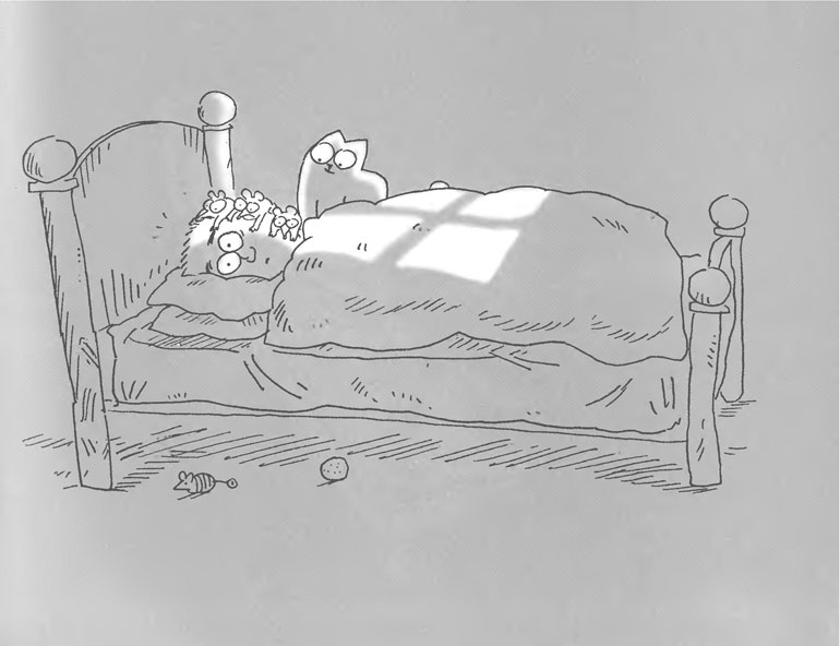 Кот Саймона Кот Саймона