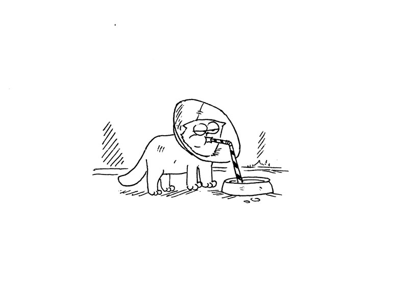 Кот Саймона Кот Саймона