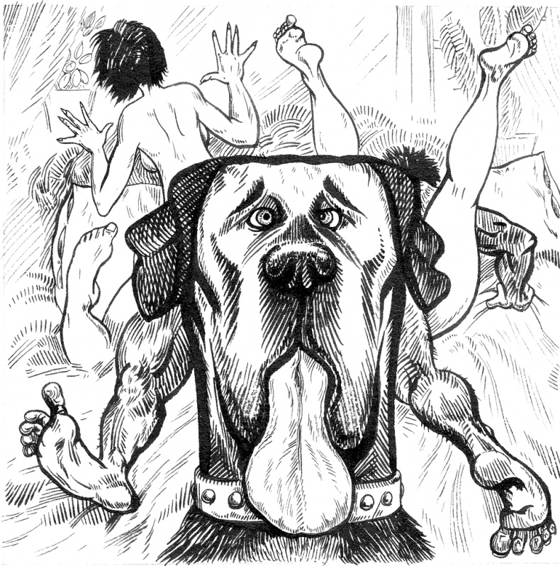 Новые байки со "скорой", или Козлы и хроники Новые байки со "скорой", или Козлы и хроники