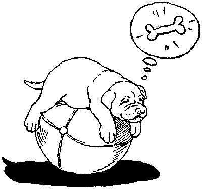 Салют, Варварята! Салют, Варварята!