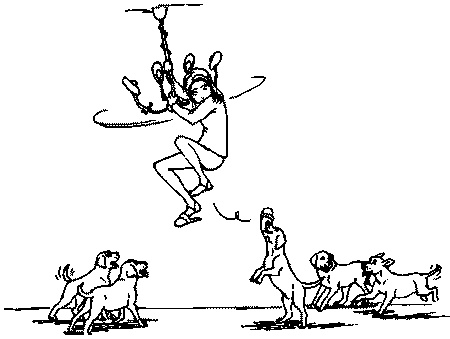 Салют, Варварята! Салют, Варварята!