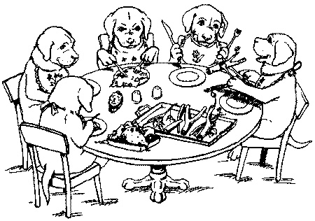 Салют, Варварята! Салют, Варварята!