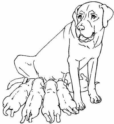 Мы с Варварой ходим парой... Мы с Варварой ходим парой...