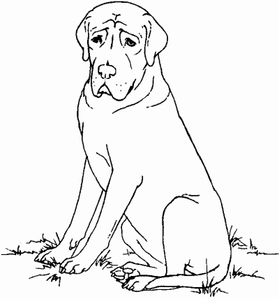 Мы с Варварой ходим парой... Мы с Варварой ходим парой...