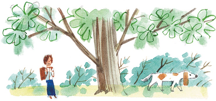 Лекарство от послушности Лекарство от послушности