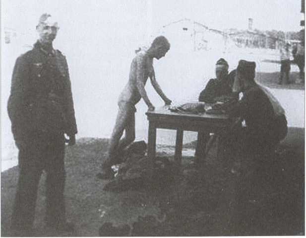 Воспоминания еврея-красноармейца Воспоминания еврея-красноармейца