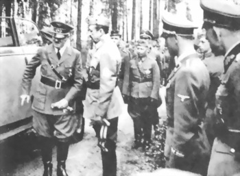 Финляндия. Через три войны к миру Финляндия. Через три войны к миру