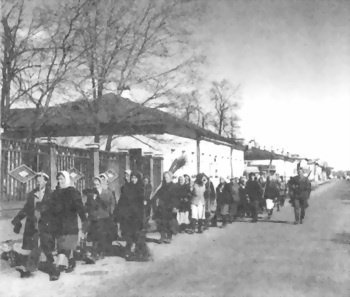 Финляндия. Через три войны к миру Финляндия. Через три войны к миру