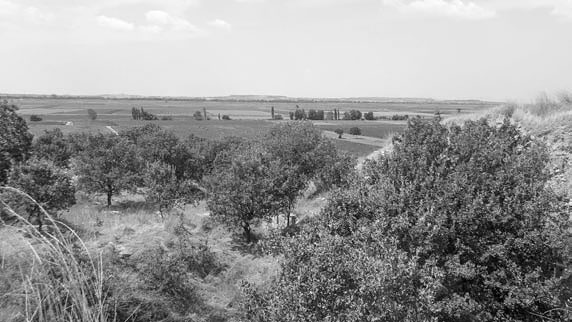 Троянский конь западной истории Троянский конь западной истории