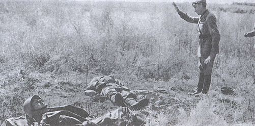 Битва за Донбасс. Миус-фронт. 1941-1943 Битва за Донбасс. Миус-фронт. 1941-1943