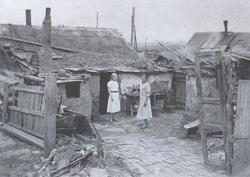 Битва за Донбасс. Миус-фронт. 1941-1943 Битва за Донбасс. Миус-фронт. 1941-1943