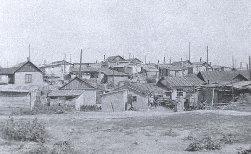 Битва за Донбасс. Миус-фронт. 1941-1943 Битва за Донбасс. Миус-фронт. 1941-1943