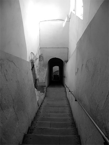 Русь меж двух огней – против Батыя и "псов-рыцарей" Русь меж двух огней – против Батыя и "псов-рыцарей"