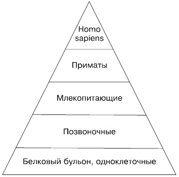 Будущее России. Алгоритм переворота Будущее России. Алгоритм переворота