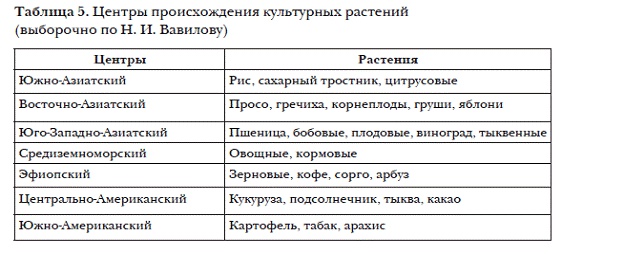 История мировых цивилизаций История мировых цивилизаций