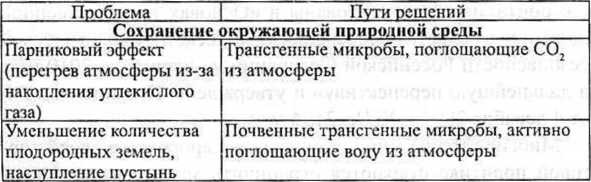 Генетическая бомба. Тайные сценарии наукоемкого биотерроризма Генетическая бомба. Тайные сценарии наукоемкого биотерроризма