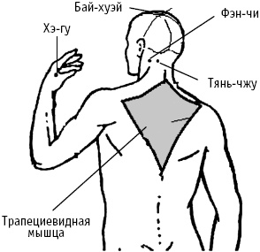 Большой атлас целительных точек. Китайская медицина на страже здоровья и долголетия Большой атлас целительных точек. Китайская медицина на страже здоровья и долголетия