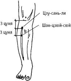 Большой атлас целительных точек. Китайская медицина на страже здоровья и долголетия Большой атлас целительных точек. Китайская медицина на страже здоровья и долголетия