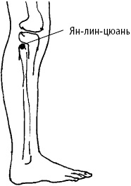 Большой атлас целительных точек. Китайская медицина на страже здоровья и долголетия Большой атлас целительных точек. Китайская медицина на страже здоровья и долголетия