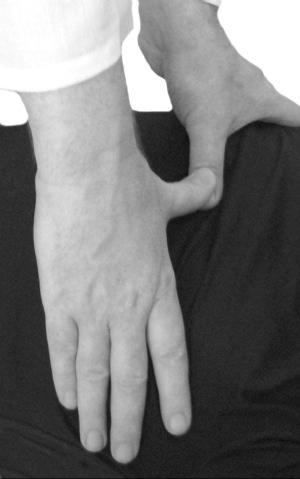 Большой атлас целительных точек. Китайская медицина на страже здоровья и долголетия Большой атлас целительных точек. Китайская медицина на страже здоровья и долголетия