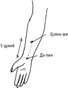 Большой атлас целительных точек. Китайская медицина на страже здоровья и долголетия Большой атлас целительных точек. Китайская медицина на страже здоровья и долголетия