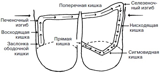 Целительные точки нашего тела. Практический атлас Целительные точки нашего тела. Практический атлас