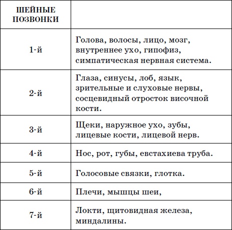 Целительные точки нашего тела. Практический атлас Целительные точки нашего тела. Практический атлас
