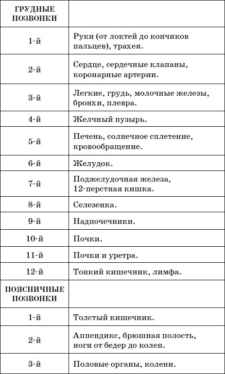 Целительные точки нашего тела. Практический атлас Целительные точки нашего тела. Практический атлас