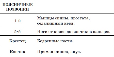 Целительные точки нашего тела. Практический атлас Целительные точки нашего тела. Практический атлас