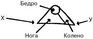 Целительные точки нашего тела. Практический атлас Целительные точки нашего тела. Практический атлас