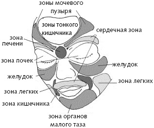Китайский императорский массаж. Лечение 100 болезней с помощью банок. Большой атлас зон исцеления Китайский императорский массаж. Лечение 100 болезней с помощью банок. Большой атлас зон исцеления