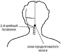 Простукивание активных точек - метод пробуждения целительной энергии. С подробным атласом Простукивание активных точек - метод пробуждения целительной энергии. С подробным атласом