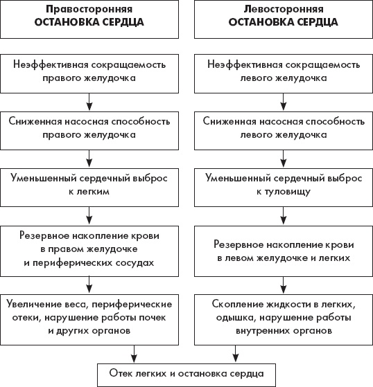 Скорая помощь. Руководство для фельдшеров и медсестер Скорая помощь. Руководство для фельдшеров и медсестер