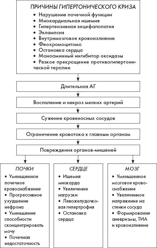 Скорая помощь. Руководство для фельдшеров и медсестер Скорая помощь. Руководство для фельдшеров и медсестер