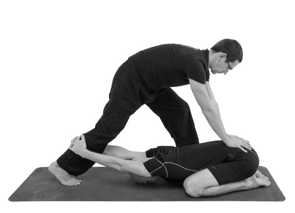 Йогатерапия. Практическое руководство Йогатерапия. Практическое руководство