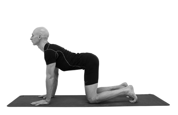 Йогатерапия. Практическое руководство Йогатерапия. Практическое руководство