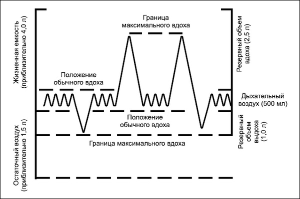 Все дыхательные гимнастики. Для здоровья тех, кому за... Все дыхательные гимнастики. Для здоровья тех, кому за...