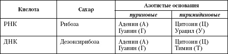 Атлас. Анатомия и физиология человека Атлас. Анатомия и физиология человека