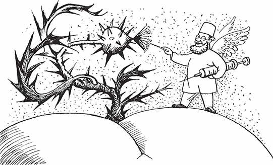 Геморрой. Излечение без операции Геморрой. Излечение без операции