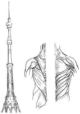 Изометрическая гимнастика для занятых людей Изометрическая гимнастика для занятых людей