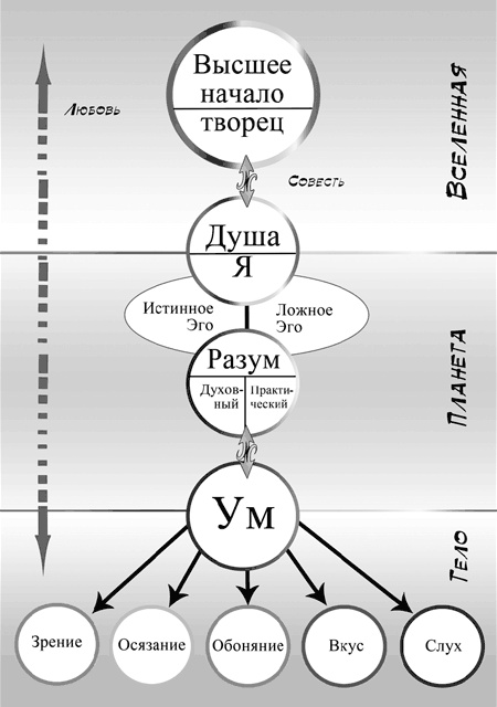 Аюрведа. Философия и травы Аюрведа. Философия и травы