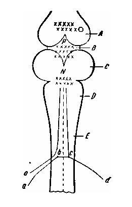 Элементы мысли Элементы мысли
